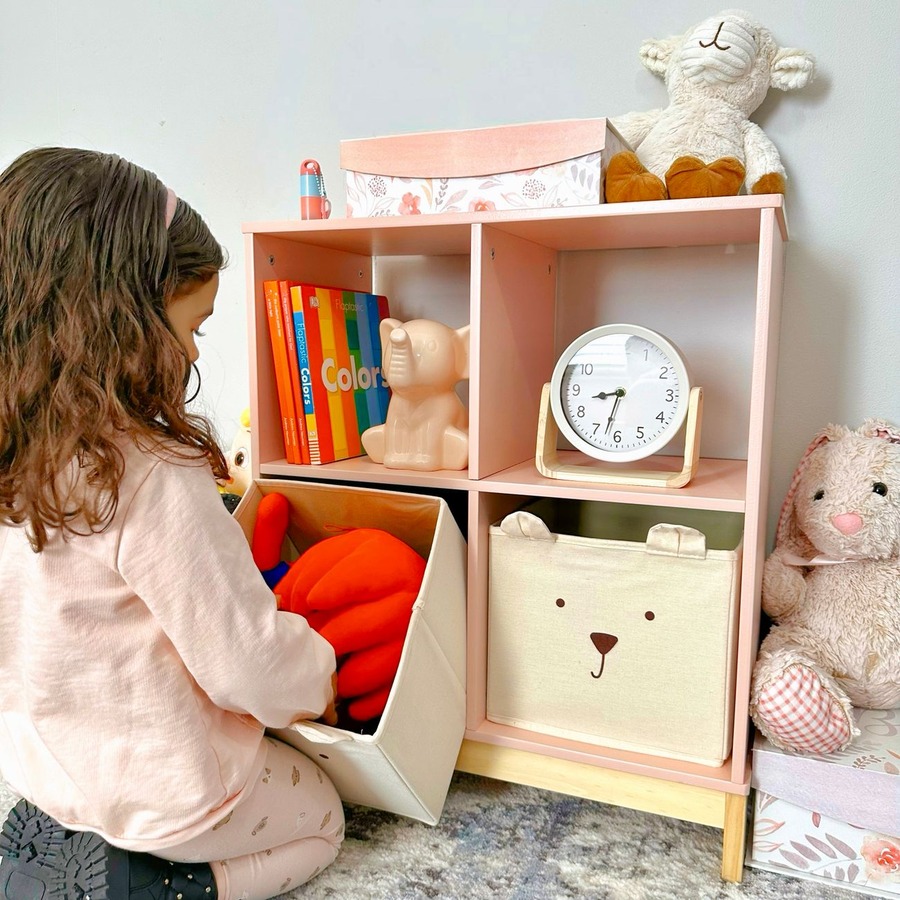 Comparison of open scattered pet supplies versus organised compartmentalised storage system